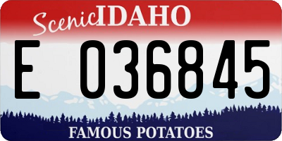 ID license plate E036845