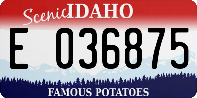 ID license plate E036875