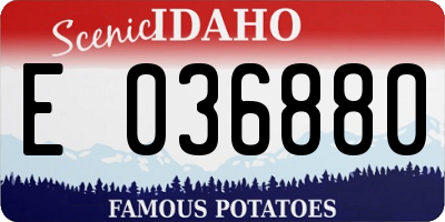ID license plate E036880