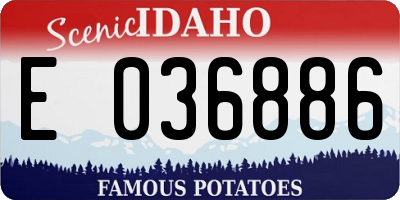 ID license plate E036886