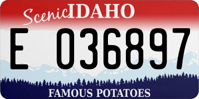 ID license plate E036897