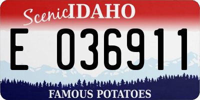 ID license plate E036911