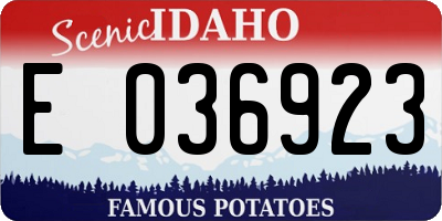 ID license plate E036923