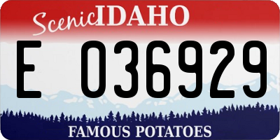 ID license plate E036929