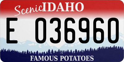 ID license plate E036960
