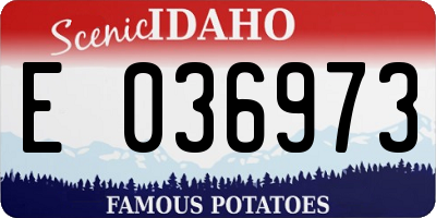 ID license plate E036973
