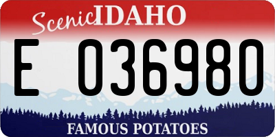 ID license plate E036980