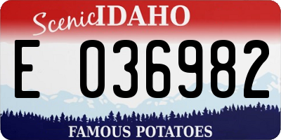 ID license plate E036982