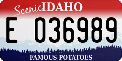 ID license plate E036989