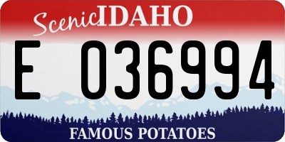 ID license plate E036994