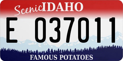 ID license plate E037011