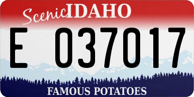ID license plate E037017