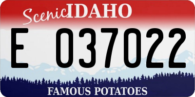 ID license plate E037022