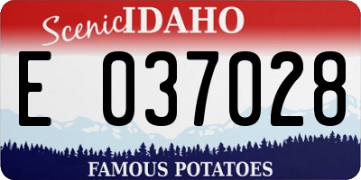 ID license plate E037028
