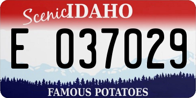 ID license plate E037029