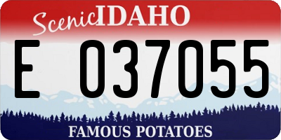 ID license plate E037055