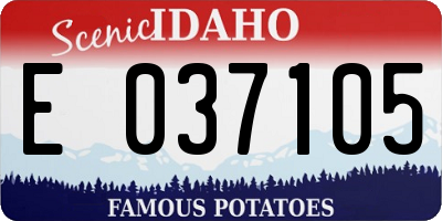 ID license plate E037105