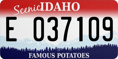 ID license plate E037109
