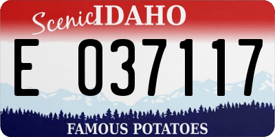 ID license plate E037117