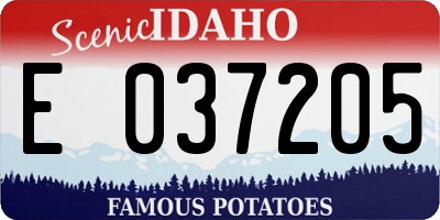 ID license plate E037205