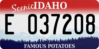 ID license plate E037208