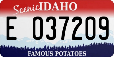 ID license plate E037209