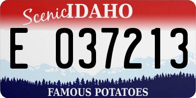 ID license plate E037213
