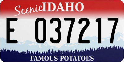 ID license plate E037217