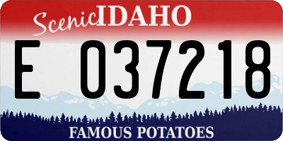 ID license plate E037218