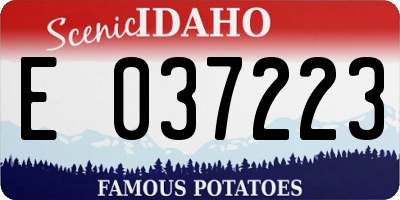 ID license plate E037223