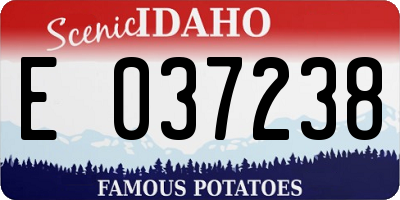 ID license plate E037238