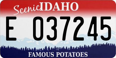 ID license plate E037245