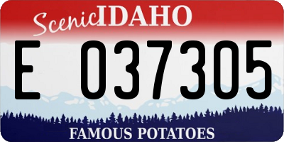 ID license plate E037305
