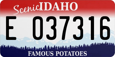 ID license plate E037316