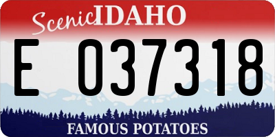 ID license plate E037318