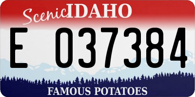 ID license plate E037384