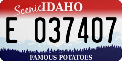 ID license plate E037407