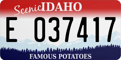 ID license plate E037417