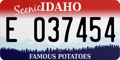 ID license plate E037454