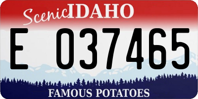 ID license plate E037465