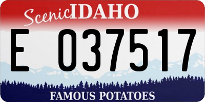 ID license plate E037517