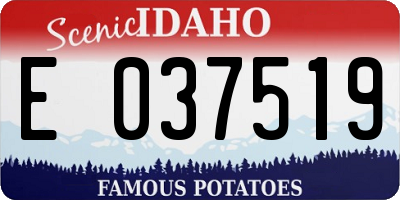 ID license plate E037519