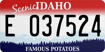 ID license plate E037524