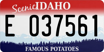 ID license plate E037561