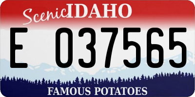 ID license plate E037565