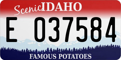 ID license plate E037584