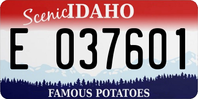 ID license plate E037601