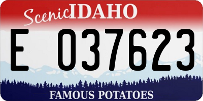 ID license plate E037623