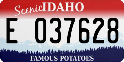 ID license plate E037628