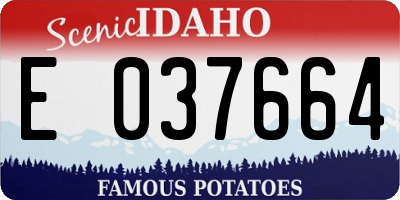 ID license plate E037664